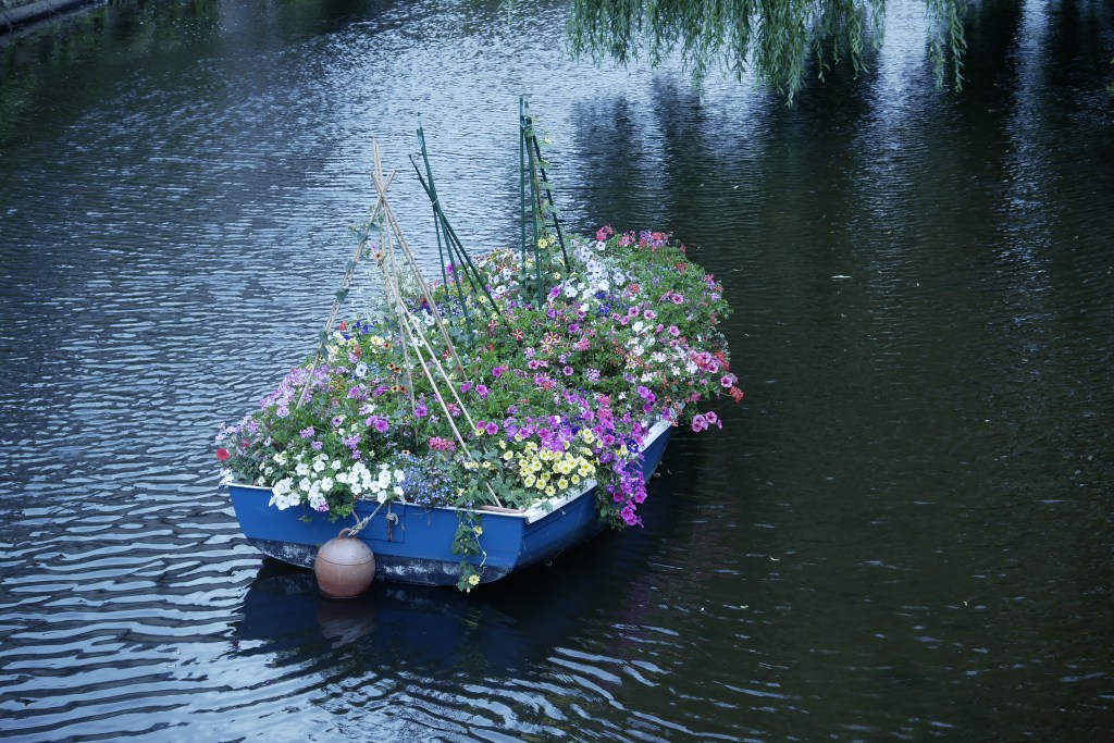 Les berges du Trieux, photo © Öznur Baycan, 2024